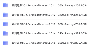 疑犯追踪 全五季 145G 高码收藏版 蓝光原盘压制 1080p分辨率 x265 10bit编码 AC3多声道 中英双语字幕 Person of Interest S01-S05 2011-2016 1080p Blu-ray x265 AC3