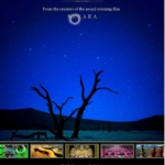 轮回 1080P 蓝光原盘 收藏版 简繁双语介绍字幕.Samsara 2011 1080p BluRay AVC DTS-HD MA 7.1